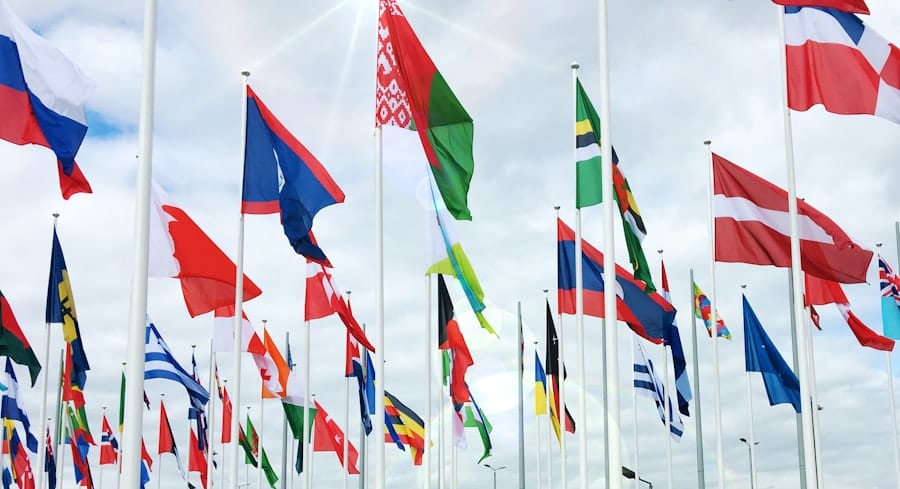 International Partnerships
