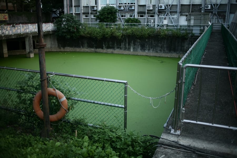 Greenwashing