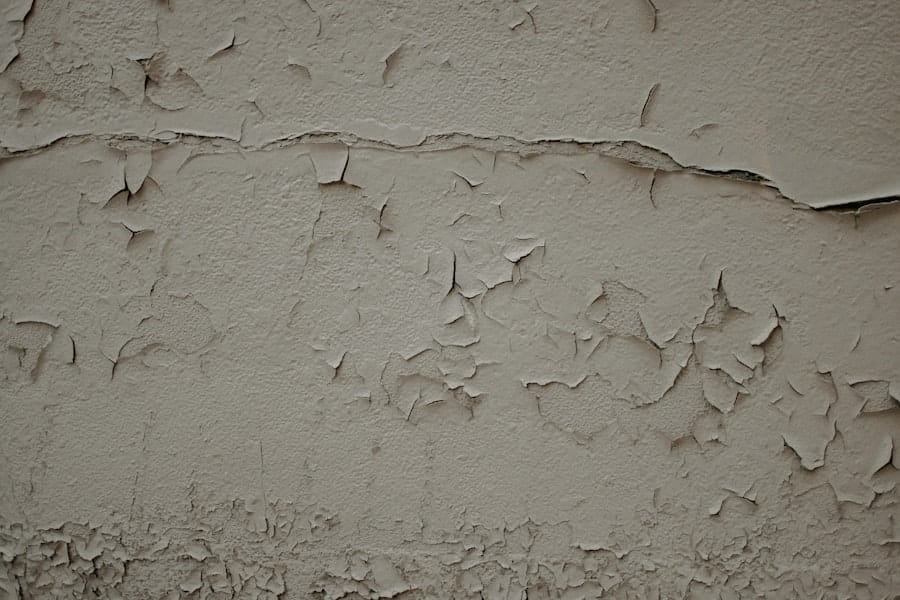 Moldy walls
