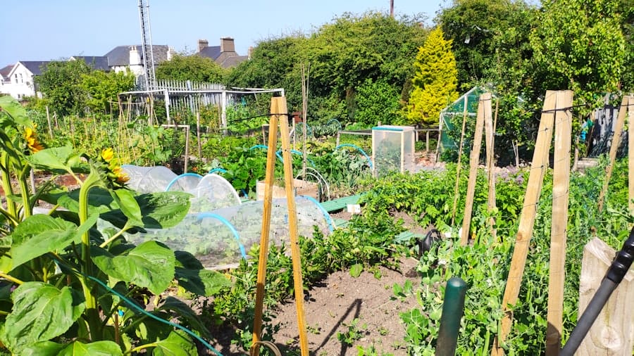 Community garden