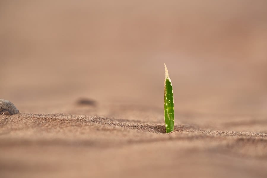 Resilient leader