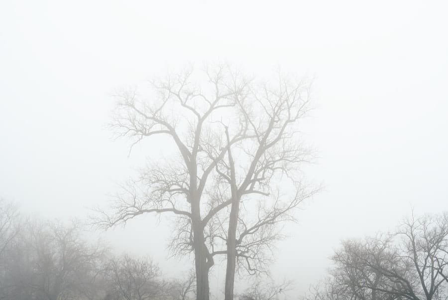 Brain fog
