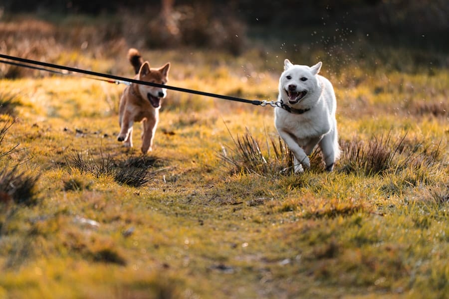 Photo Teamwork synergy