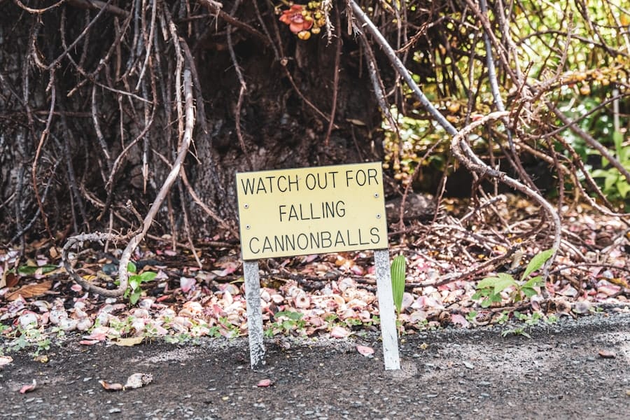 Photo Pitfalls
