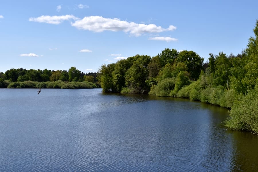 Water Management