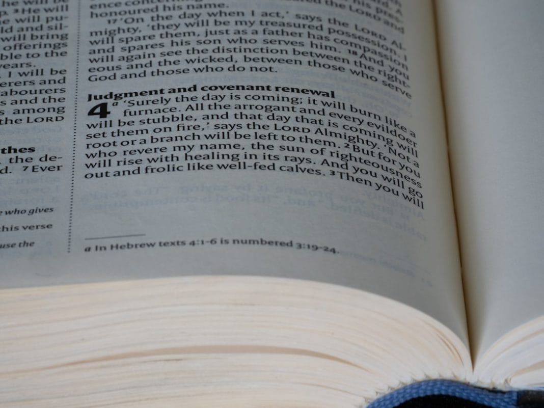 image-32 Photo Rapport