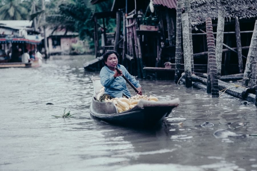 Climate Resilience