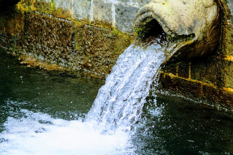 Sustainable Water Management