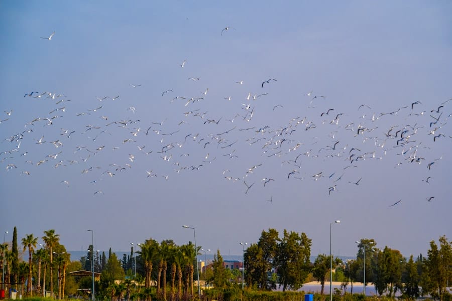 Moisture Migration