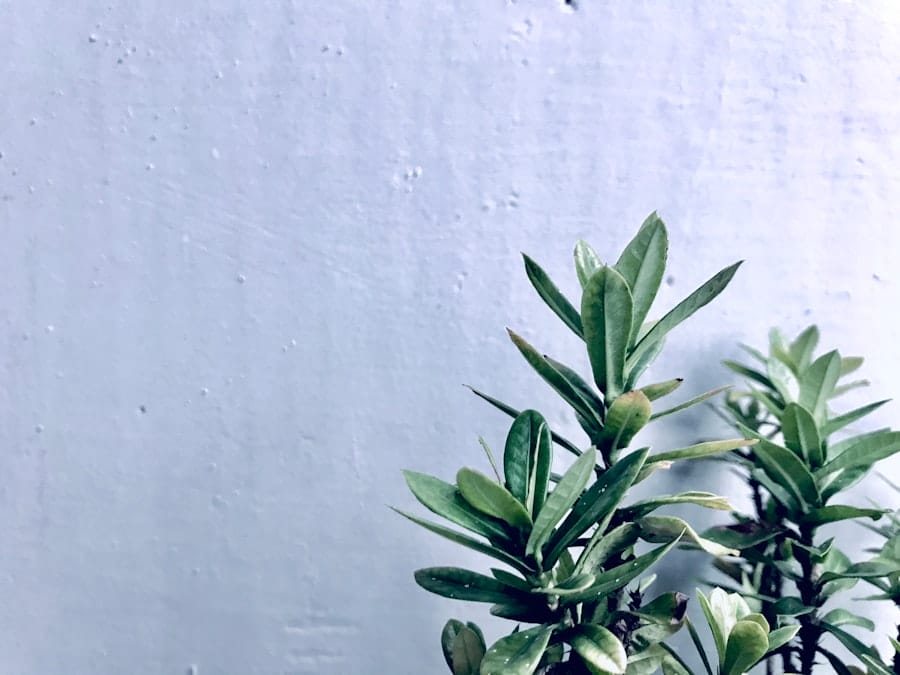 Photo Eco Friendly Paints