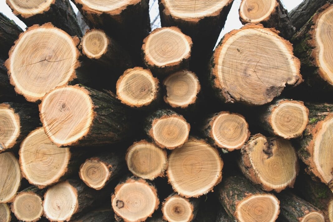 Photo Sustainable Timber Sourcing Certification Programs