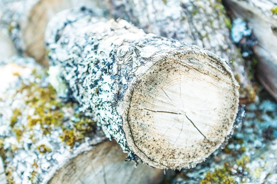 Photo Sustainable Materials Certification Systems