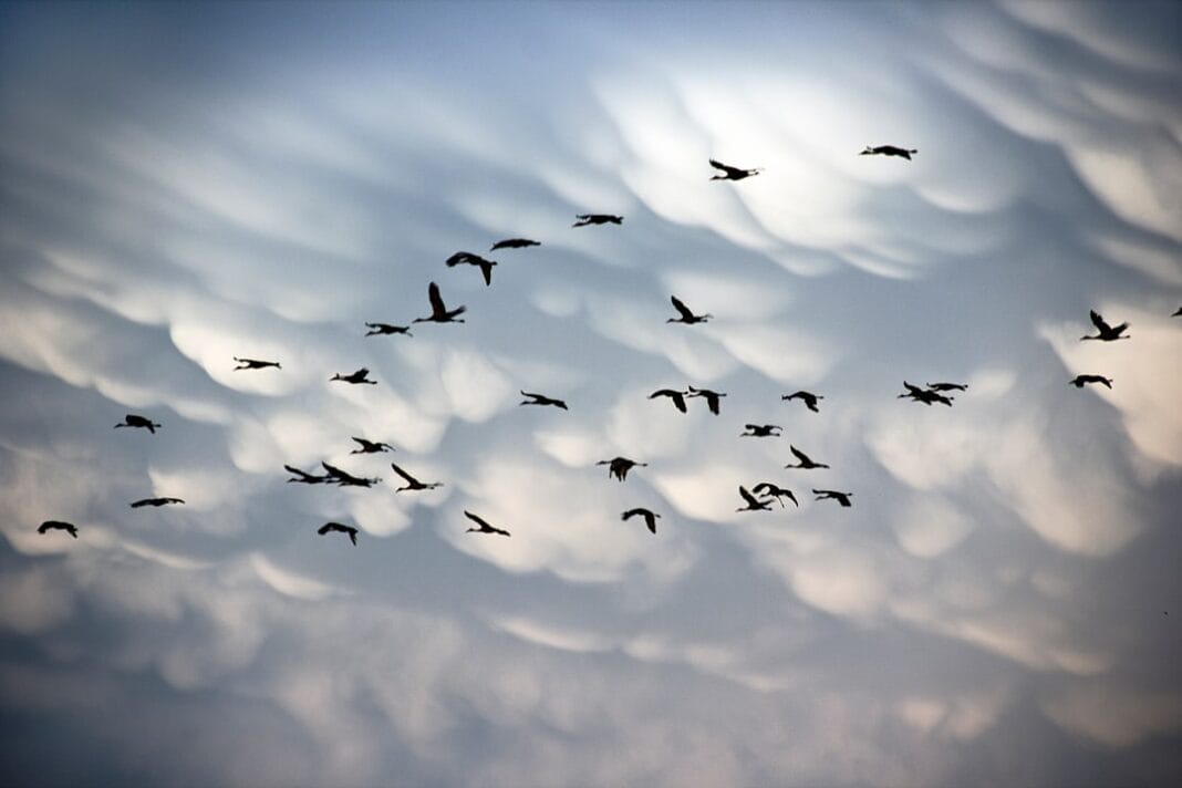 Photo Moisture Migration