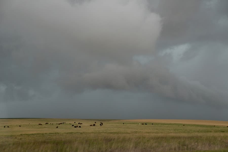 Photo Moisture Migration