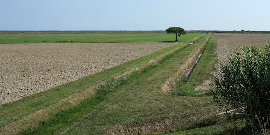 Sustainable Drainage Systems (SuDS)
