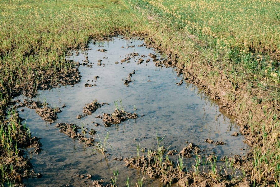 Problematic Soils Solutions