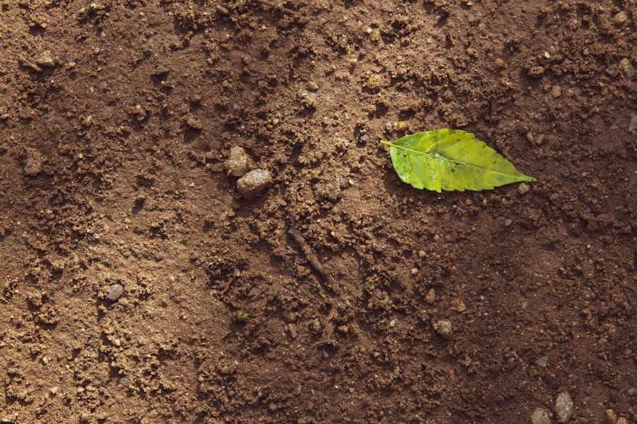 Photo Problematic Soils Solutions