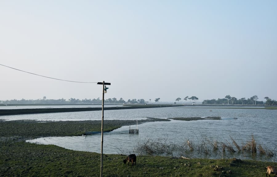 Photo Stormwater Harvesting