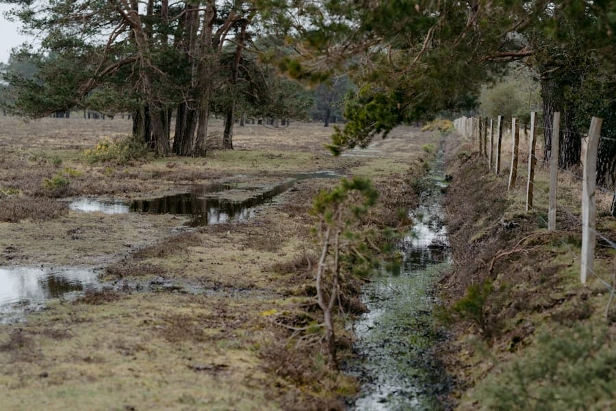 Photo Sustainable Drainage Systems (SuDS)