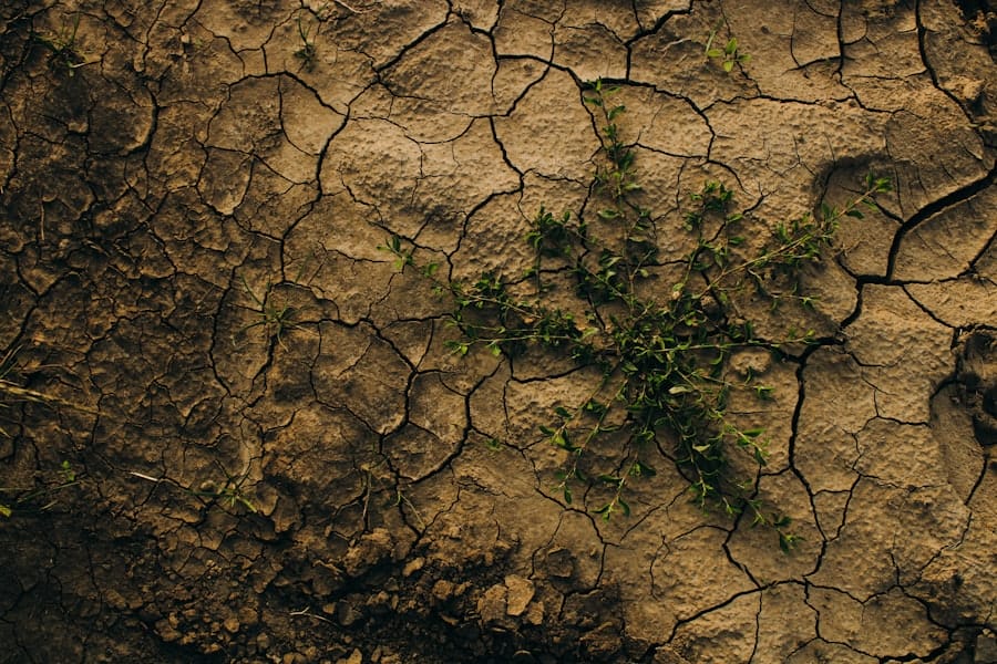 Environmental Impact Assessments