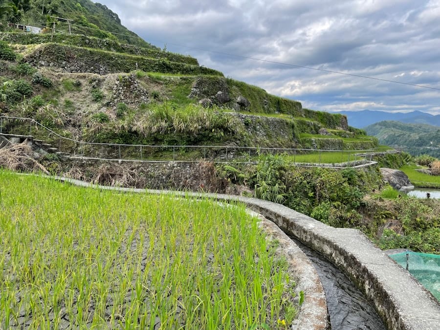 Photo Sustainable Drainage Systems