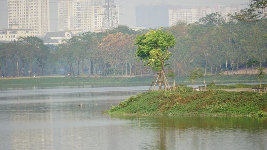 Photo Urban Greening